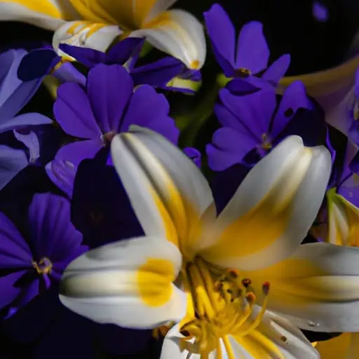 תקריב של פרחים צבעוניים בגנים הבוטניים של מדריד