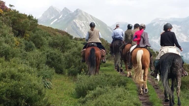 Madrid: Horse Riding Sierra del Guadarrama National Park