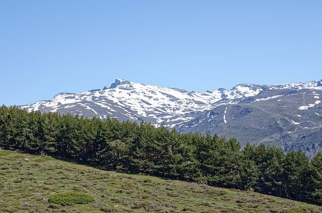 Madrid: Horse Riding Sierra del Guadarrama National Park